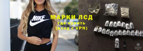 прущие грибы Арсеньев