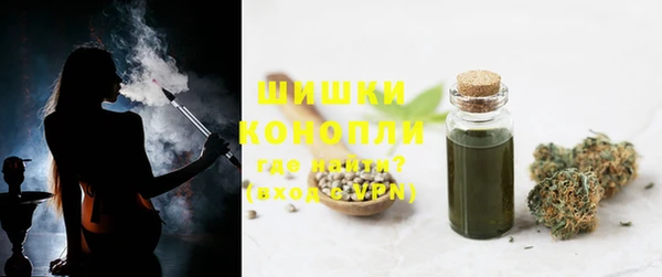прущие грибы Арсеньев