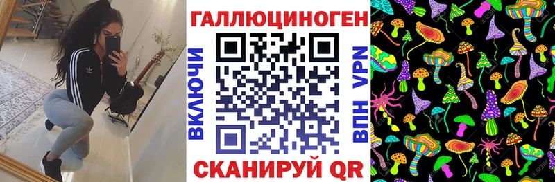 дарк нет какой сайт  Валдай  Псилоцибиновые грибы мицелий 